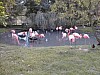 gal 2000 paradisio 022.JPG