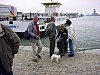 gal 2002 Antwerpen 022.JPG