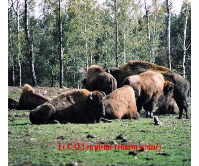 2003 Monde Sauvage 013.jpg