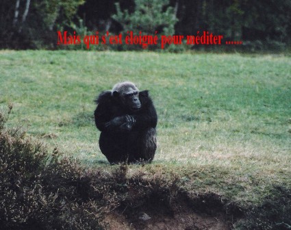 2003 Monde Sauvage 015.jpg