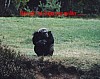 2003 Monde Sauvage 015.jpg