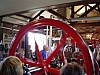 gal 2004 Brasschaat 118.JPG