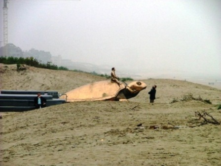 gal 2005 Mer 04.jpg