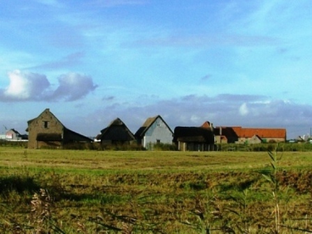 gal 2005 Mer 63.jpg