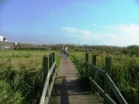 gal 2005 Mer 82.jpg