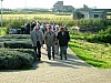 gal 2005 Mer 24.jpg