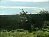 gal 2005 Mer 38.jpg