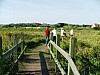 gal 2005 Mer 81.jpg