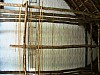 gal 2005 Mer 87.jpg