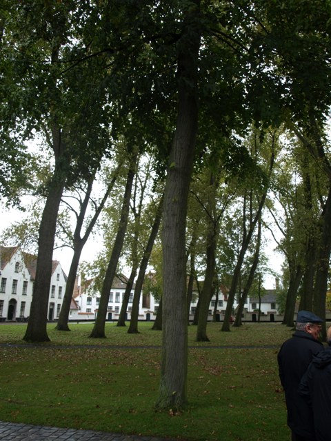 20081005 groupe un 025.JPG
