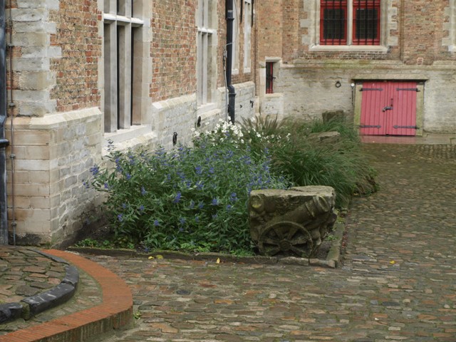 20081005 groupe un 070.JPG