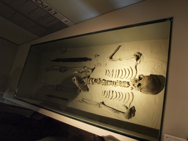 PA101183.JPG