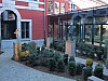 PA101216.JPG
