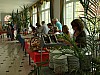 20120520 bbq els 091.JPG