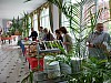20120520 bbq els 102.jpg