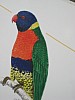 20120930 pairi daiza 016.jpg