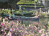 20120930 pairi daiza 062.jpg