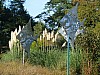 20120930 pairi daiza 066.JPG