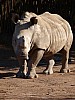 20120930 pairi daiza 084.JPG
