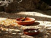 20120930 pairi daiza 097.JPG
