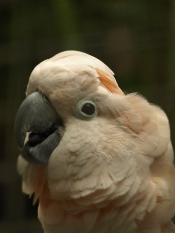 Mondo Verde 025.jpg