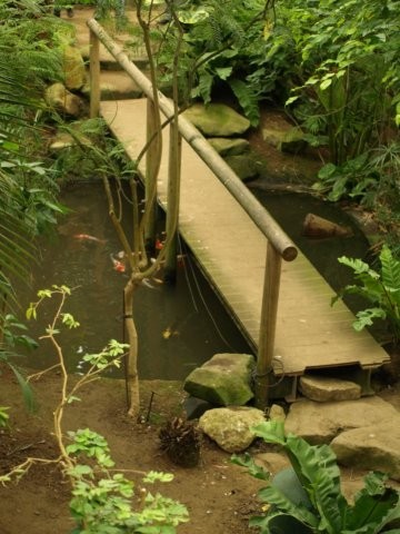 Mondo Verde 038.jpg
