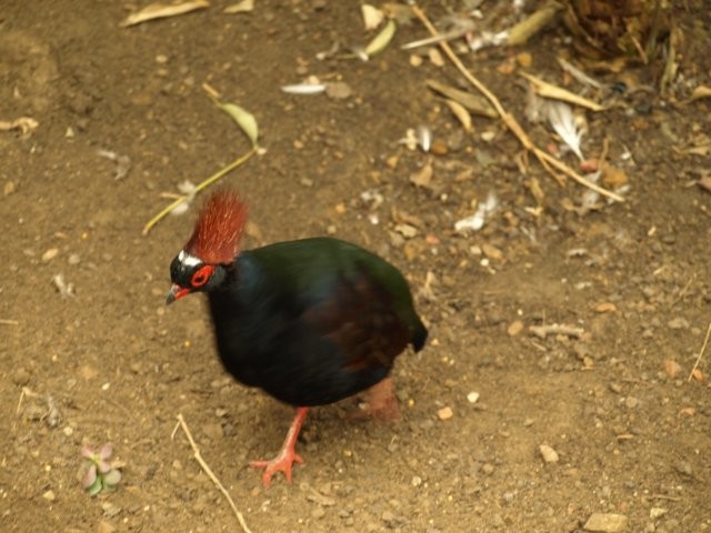 Mondo Verde 042.jpg