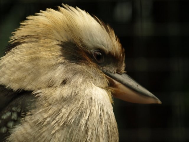 Mondo Verde 046.jpg
