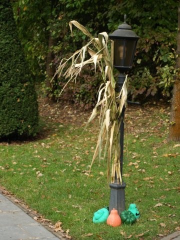 Mondo Verde 059.jpg