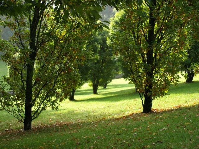 Mondo Verde 063.jpg
