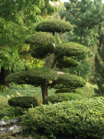 Mondo Verde 073.jpg