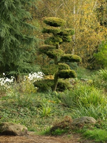 Mondo Verde 074.jpg