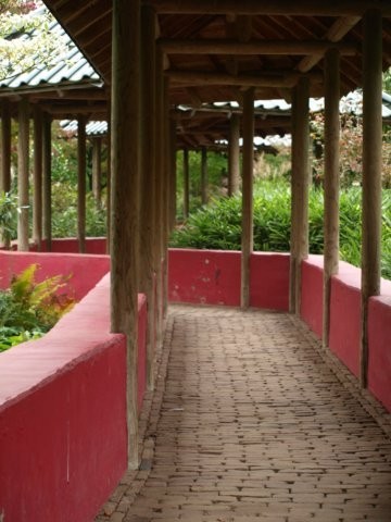 Mondo Verde 077.jpg