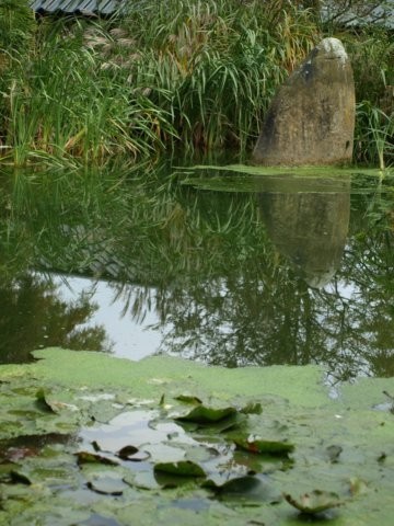 Mondo Verde 085.jpg