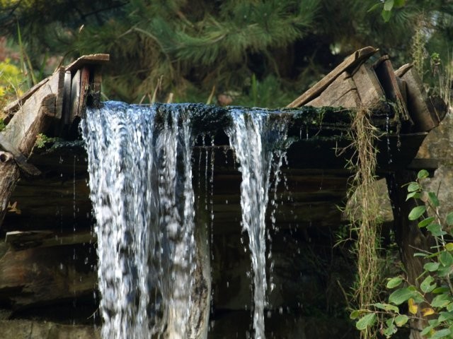 Mondo Verde 111.jpg