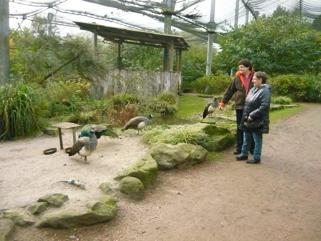Mondo Verde 142.jpg