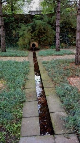 Mondo Verde 157.jpg