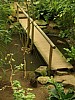 Mondo Verde 038.jpg