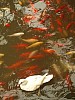 Mondo Verde 047.jpg