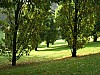 Mondo Verde 063.jpg