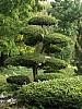 Mondo Verde 073.jpg