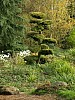 Mondo Verde 074.jpg