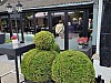 20251012 retrouvailles  0003.jpg